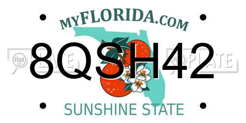 8QSH42 Florida License Plate