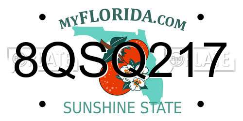 8QSQ217 Florida License Plate