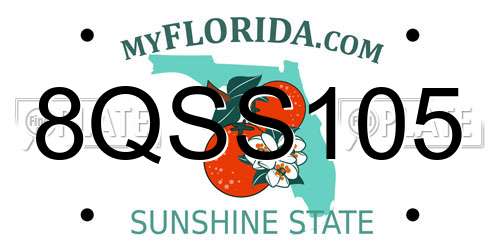 8QSS105 Florida License Plate