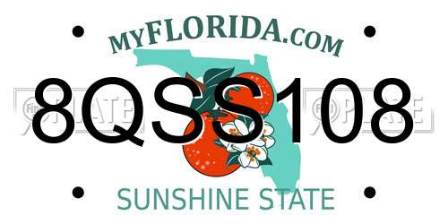 8QSS108 Florida License Plate