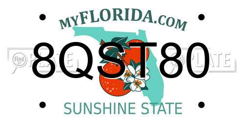 8QST80 Florida License Plate