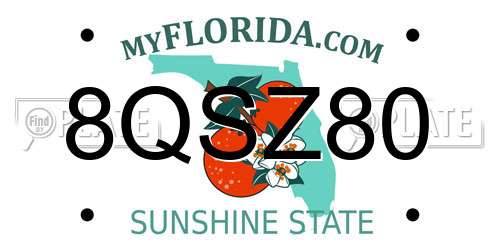 8QSZ80 Florida License Plate