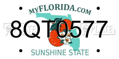 8QT0577 Florida License Plate