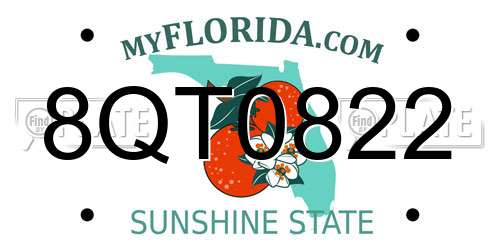 8QT0822 Florida License Plate