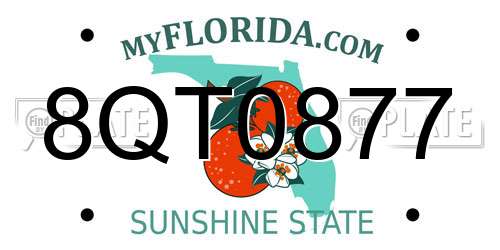 8QT0877 Florida License Plate
