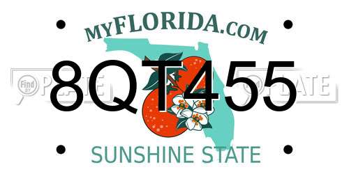 8QT455 Florida License Plate