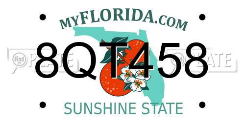 8QT458 Florida License Plate