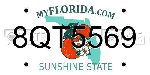 8QT5569 Florida License Plate