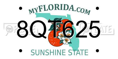 8QT625 Florida License Plate