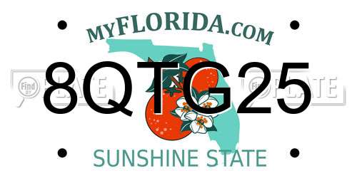 8QTG25 Florida License Plate
