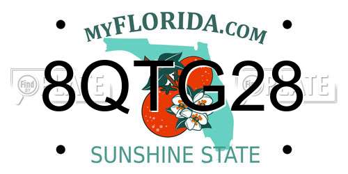 8QTG28 Florida License Plate