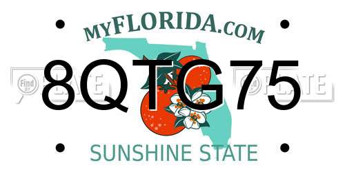 8QTG75 Florida License Plate
