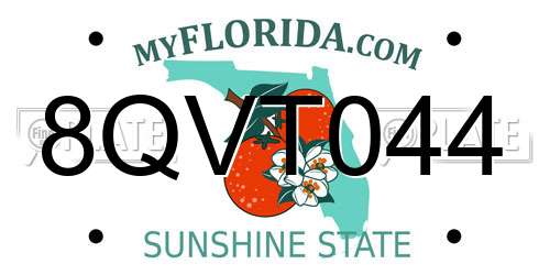 8QVT044 Florida License Plate