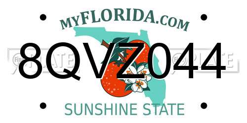 8QVZ044 Florida License Plate