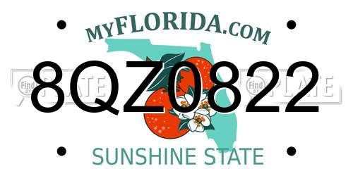 8QZ0822 Florida License Plate