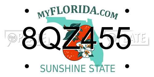 8QZ455 Florida License Plate