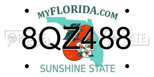 8QZ488 Florida License Plate