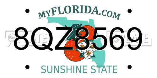 8QZ8569 Florida License Plate