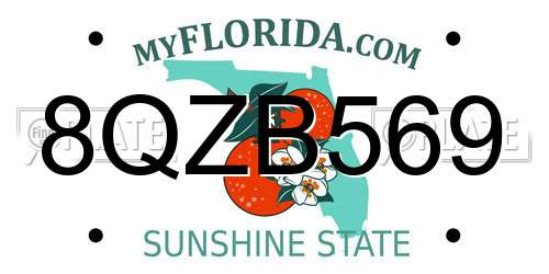 8QZB569 Florida License Plate