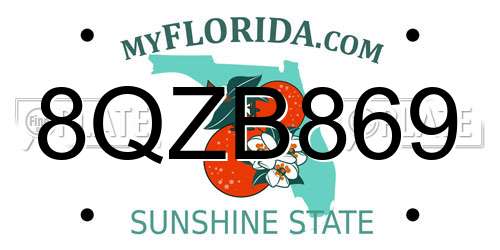 8QZB869 Florida License Plate