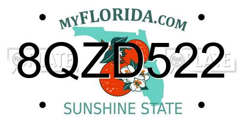 8QZD522 Florida License Plate