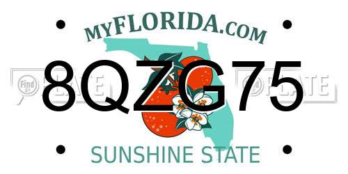 8QZG75 Florida License Plate