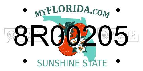8R00205 Florida License Plate