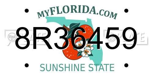 8R36459 Florida License Plate