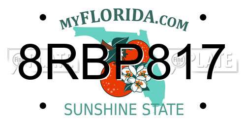 8RBP817 Florida License Plate