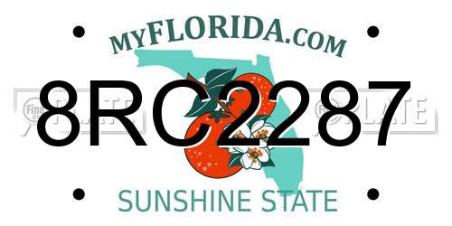 8RC2287 Florida License Plate