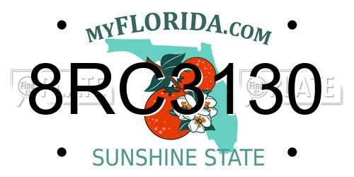 8RC3130 Florida License Plate