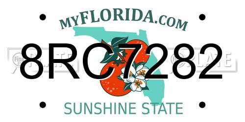 8RC7282 Florida License Plate