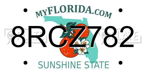8RCZ782 Florida License Plate