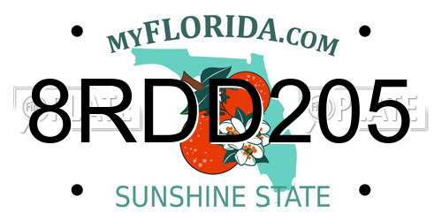 8RDD205 Florida License Plate