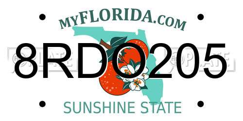 8RDO205 Florida License Plate