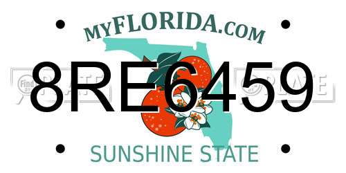 8RE6459 Florida License Plate