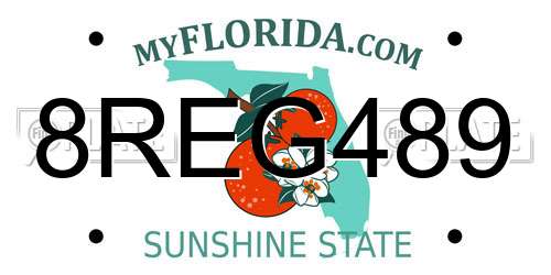 8REG489 Florida License Plate