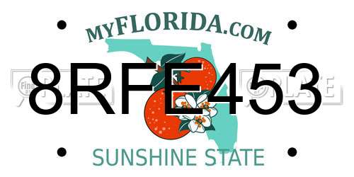 8RFE453 Florida License Plate