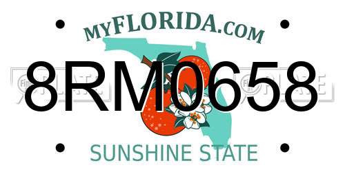 8RM0658 Florida License Plate