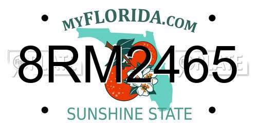 8RM2465 Florida License Plate