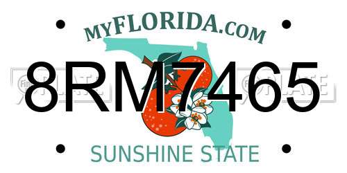 8RM7465 Florida License Plate