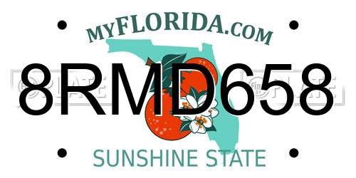 8RMD658 Florida License Plate