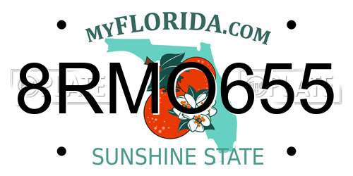8RMO655 Florida License Plate