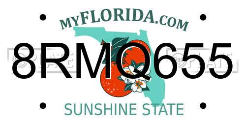 8RMQ655 Florida License Plate