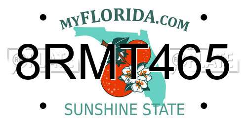 8RMT465 Florida License Plate