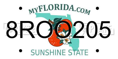 8ROO205 Florida License Plate