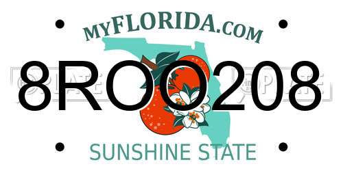 8ROO208 Florida License Plate