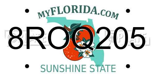 8ROQ205 Florida License Plate