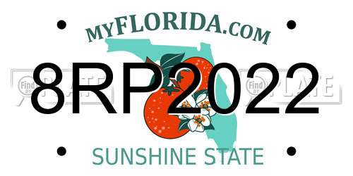 8RP2022 Florida License Plate