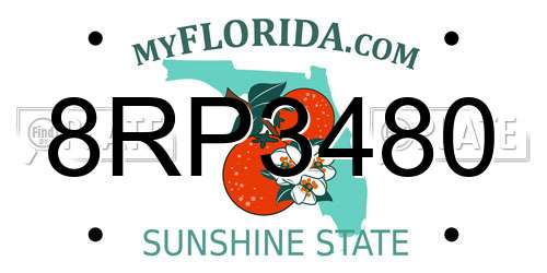 8RP3480 Florida License Plate